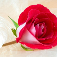 Ngữ pháp tiếng Anh lớp 3 chương trình mới Unit 20: Where's Sa Pa?