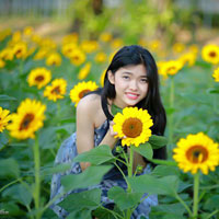 Giải bài tập SGK Địa lý lớp 10 bài 28: Địa lí ngành trồng trọt