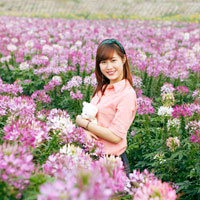 Giải bài tập SGK Địa lý lớp 9 bài 20: Vùng Đồng bằng sông Hồng