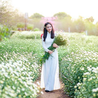 Giải bài tập SGK Địa lý lớp 9 bài 21: Vùng Đồng bằng sông Hồng (tiếp theo)