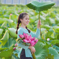 Giải bài tập SGK Địa lý lớp 9 bài 28: Vùng Tây Nguyên