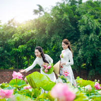 Giải bài tập SGK Địa lý lớp 9 bài 29: Vùng Tây Nguyên (tiếp theo)