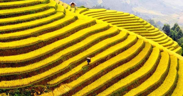 Tả cảnh đẹp ở địa phương em