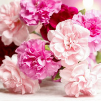 Ngữ pháp tiếng Anh lớp 7 chương trình mới Unit 3: Community Service