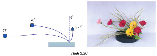 Giải bài tập SGK Công nghệ lớp 6 bài 14: Thực hành cắm hoa