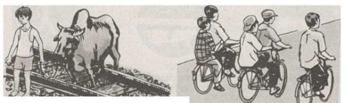 Bài tập GDCD lớp 6