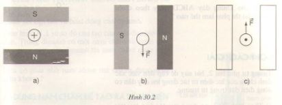 Giải bài tập SGK Vật lý lớp 9 bài 24: Bài tập vận dụng quy tắc nắm tay phải và quy tắc bàn tay trái