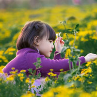 Giáo án Tiếng Việt 3 tuần 8: Tập đọc - Tiếng ru