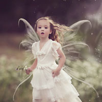 Giải bài tập SGK Công nghệ lớp 7 bài 11: Sản xuất và bảo quản giống cây trồng