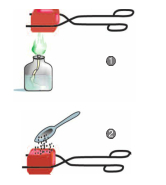 Giải bài tập SGK Công nghệ lớp 7 bài 8: Thực hành: Nhận biết một số loại phân bón hoá học thông thường