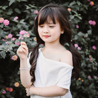 Giải bài tập SGK Công nghệ lớp 7 bài 12: Sâu, bệnh hại cây trồng