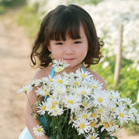 Giải bài tập SGK Công nghệ lớp 7 bài 24: Gieo hạt và chăm sóc vườn gieo ươm cây rừng