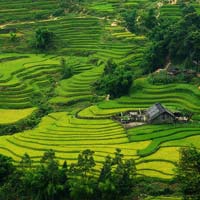 Những lỗi cơ bản của học sinh khi làm bài văn tả cảnh