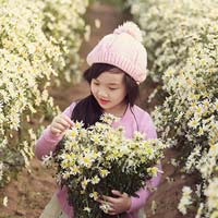 Đề thi giữa học kì 1 môn Toán lớp 5 theo Thông tư 22 năm 2017 - 2018