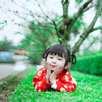 Giải bài tập SGK Công nghệ lớp 7 bài 26: Trồng cây rừng