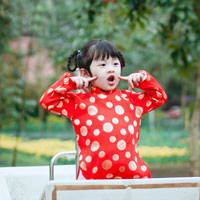 Giải bài tập SGK Công nghệ lớp 7 bài 28: Khai thác rừng