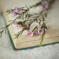 Ngữ pháp tiếng Anh lớp 8 Unit 16: Inventions