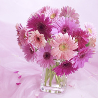 Đề kiểm tra 15 phút Tiếng Anh lớp 8 học kì 1 Số 4 Unit 4: Our Past