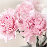 Đề kiểm tra 15 phút Tiếng Anh lớp 8 học kì 1 Số 5 Unit 5: Study Habits