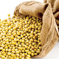 Giải bài tập SGK Công nghệ lớp 7 bài 41: Thực hành: Chế biến thức ăn họ đậu bằng nhiệt