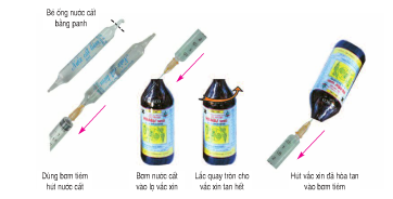 Giải bài tập Công nghệ lớp 7 bài 48: Thực hành: Nhận biết một số loại vắc xin phòng bệnh cho gia cầm và phương pháp sử dụng vắc xin Niu Cat Xơn