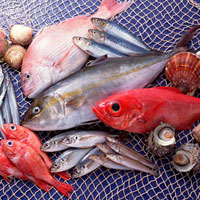 Giải bài tập SGK Công nghệ lớp 7 bài 50: Môi trường nuôi thủy sản