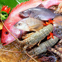 Giải bài tập SGK Công nghệ lớp 7 bài 51: Thực hành: Xác định nhiệt độ, độ trong và độ pH của nước nuôi thuỷ sản