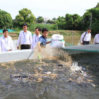 Giải bài tập SGK Công nghệ lớp 7 bài 53: Thực hành: Quan sát để nhận biết các loại thức ăn của động vật thuỷ sản (tôm, cá)