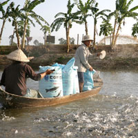 Giải bài tập SGK Công nghệ lớp 7 bài 54: Chăm sóc, quản lý và phòng, trị bệnh cho động vật thủy sản (tôm, cá)