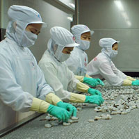 Giải bài tập SGK Công nghệ lớp 7 bài 55: Thu hoạch, bảo quản và chế biến sản phẩm thủy sản