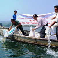 Giải bài tập SGK Công nghệ lớp 7 bài 56: Bảo vệ môi trường và nguồn lợi thủy sản