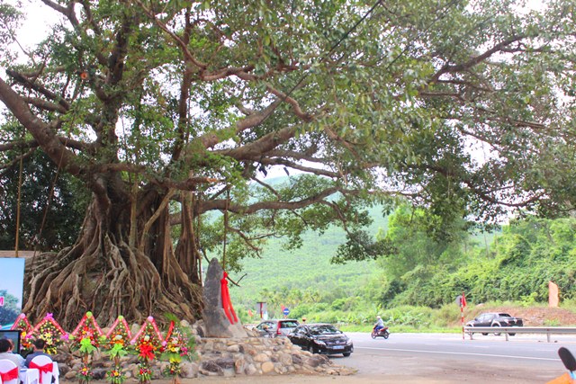 Bài viết số 2: Biểu cảm về cây Đa