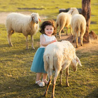 Giáo án Tiếng Việt 4 tuần 9: Luyện từ và câu - Động từ