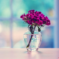 Đề kiểm tra giữa học kì 1 môn Tiếng Anh lớp 4