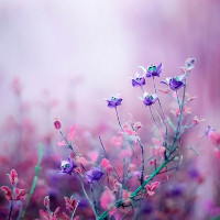 Tiếng Hàn cơ bản - Bài 1: Nguyên âm và Phụ âm