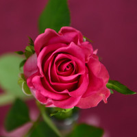 Tiếng Hàn cơ bản - Bài 3: Cách viết chữ Hàn