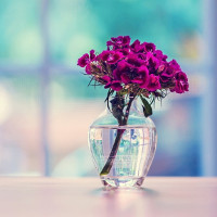 Bài tập phân biệt Thì hiện tại tiếp diễn và Thì hiện tại đơn (II)