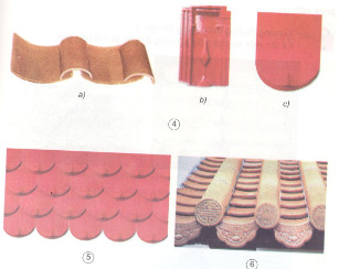 Giải bài tập Khoa học 5 trang 27