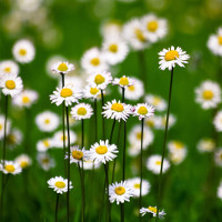 Tiếng Hàn cơ bản - Bài 7: Patchim trong tiếng Hàn