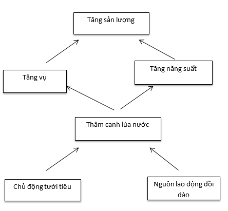 Bài 8: Các hình thức canh tác trong nông nghiệp ở đới nóng