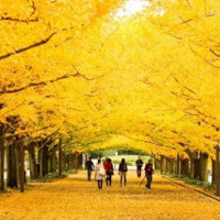 Từ vựng tiếng Hàn theo chủ đề Địa điểm phổ biến