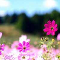 Bài tập Thì quá khứ tiếp diễn trong tiếng Anh