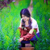 Giải bài tập SGK Công nghệ lớp 9 quyển 2 bài 11: Thực hành: Món xào