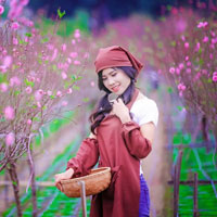 Giải bài tập SGK Công nghệ lớp 9 quyển 2 bài 5: Thực hành: Xây dựng thực đơn