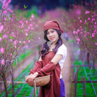 Giải bài tập SGK Công nghệ lớp 9 quyển 2 bài 7: Thực hành: Chế biến các món ăn không sử dụng nhiệt. Món trộn - cuốn hỗn hợp