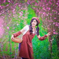 Giải bài tập SGK Công nghệ lớp 9 quyển 3 bài 3: Các phương pháp nhân giống cây ăn quả