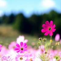 Bài tập Thì hiện tại hoàn thành tiếp diễn trong tiếng Anh