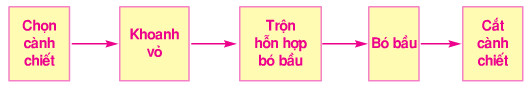 Giải bài tập SGK Công nghệ lớp 9 quyển 3 bài 5: Thực hành: Chiết cành
