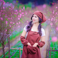 Giải bài tập SGK Công nghệ lớp 9 quyển 3 bài 7: Kỹ thuật trồng cây ăn quả có múi (cam, chanh, quýt, bưởi,...)