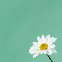 Đề thi giữa học kì 1 lớp 6 môn tiếng Anh phòng GD&ĐT Quận 8, TPHCM năm học 2017-2018